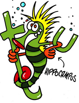 Cartoon Seepferdchen Hippocampus